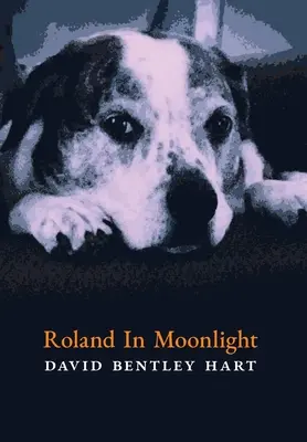 Roland v mesačnom svite - Roland in Moonlight