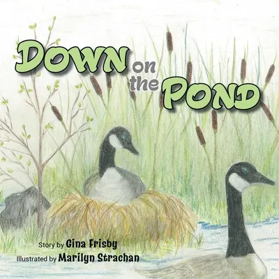 Dole na rybníku - Down on the Pond