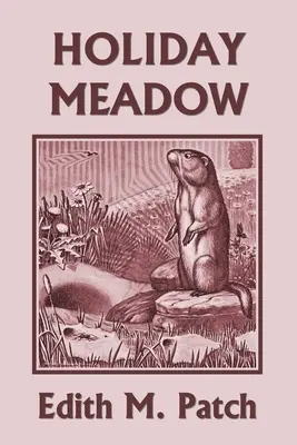 Prázdninová lúka (Yesterday's Classics) - Holiday Meadow (Yesterday's Classics)