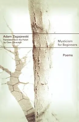 Mystika pre začiatočníkov: Básne - Mysticism for Beginners: Poems