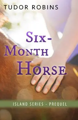 Šesťmesačný kôň - Six-Month Horse