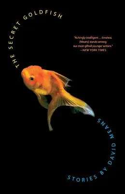 Tajomná zlatá rybka: Príbehy - The Secret Goldfish: Stories
