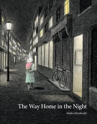 Cesta domov v noci - The Way Home in the Night