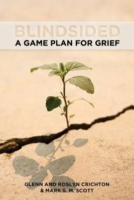 Slepá ulička: Plán hry pre smútok - Blindsided: A Game Plan for Grief