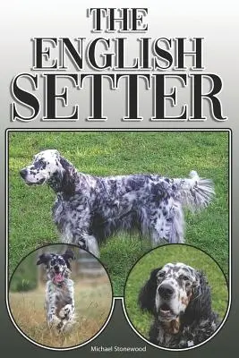 Anglický seter: Úplná a komplexná príručka pre majiteľov: Kúpa, vlastníctvo, zdravie, starostlivosť, výcvik, poslušnosť, porozumenie a - The English Setter: A Complete and Comprehensive Owners Guide To: Buying, Owning, Health, Grooming, Training, Obedience, Understanding and