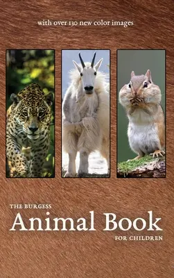 Burgessova kniha o zvieratách s novými farebnými obrázkami - The Burgess Animal Book with new color images