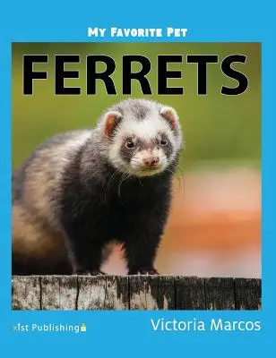 Moje obľúbené domáce zviera: Fretky - My Favorite Pet: Ferrets