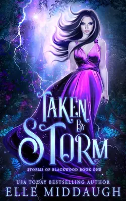 Uchvátení búrkou - Taken by Storm