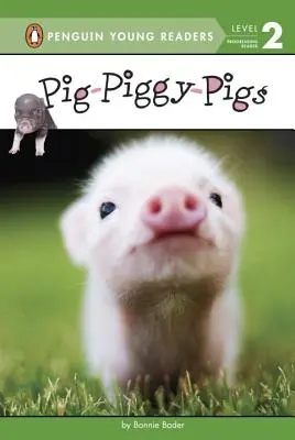 Prasiatka, prasiatka, prasiatka - Pig-Piggy-Pigs