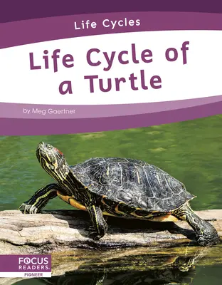 Životný cyklus korytnačky - Life Cycle of a Turtle