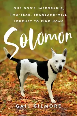 Šalamún: Tisíc kilometrov dlhá cesta jedného psa za domovom - Solomon: One Dog's Improbable, Two-year, Thousand-mile Journey to Find Home