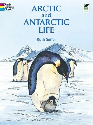 Arktický a antarktický život Omaľovánky - Arctic and Antarctic Life Coloring Book