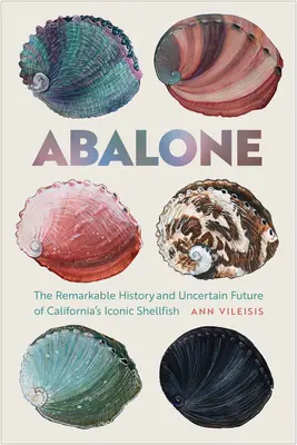 Abalone: Pozoruhodná história a neistá budúcnosť ikonických kalifornských mäkkýšov - Abalone: The Remarkable History and Uncertain Future of California's Iconic Shellfish