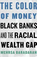 Farba peňazí: Čierne banky a rasové rozdiely v bohatstve - The Color of Money: Black Banks and the Racial Wealth Gap