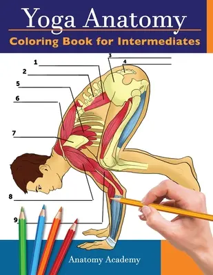 Joga Anatomy Coloring Book for Intermediates (Jogové anatómie pre stredne pokročilých): 50+ neuveriteľne podrobných autotestov pozícií pre stredne pokročilých Farebný zošit Ideálny darček pre inštruktorov jogy - Yoga Anatomy Coloring Book for Intermediates: 50+ Incredibly Detailed Self-Test Intermediate Yoga Poses Color workbook Perfect Gift for Yoga Instructo