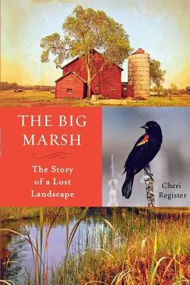 Veľký močiar: Príbeh stratenej krajiny - The Big Marsh: The Story of a Lost Landscape