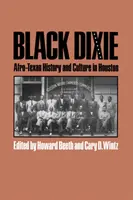 Čierny Dixie: Afrotexánska história a kultúra v Houstone - Black Dixie: Afro-Texan History and Culture in Houston