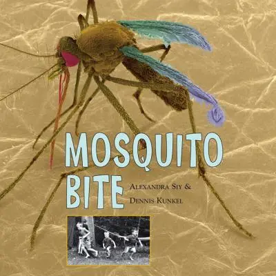 Uštipnutie komárom - Mosquito Bite