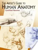 Umelecký sprievodca ľudskou anatómiou - The Artist's Guide to Human Anatomy