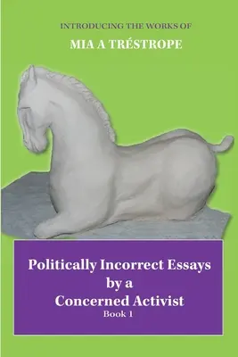 Politicky nekorektné eseje znepokojeného aktivistu: Kniha 1 - Politically Incorrect Essays by a Concerned Activist: Book 1
