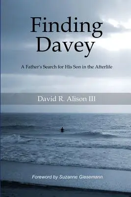 Hľadanie Daveyho: Otcovo hľadanie syna v posmrtnom živote - Finding Davey: A father's search for his son in the afterlife