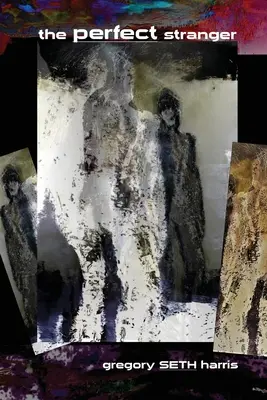 Dokonalý cudzinec - The Perfect Stranger