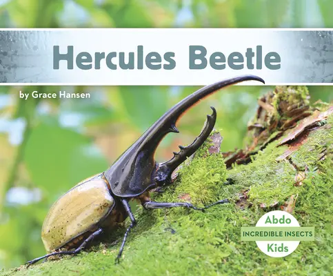 Chrobák Herkules - Hercules Beetle