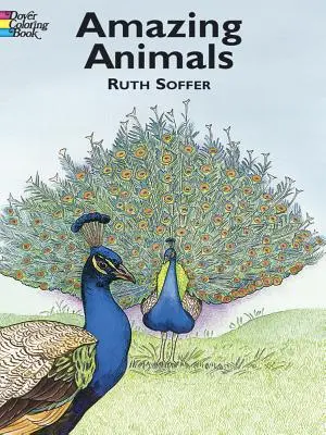 Úžasné zvieratá Omaľovánky - Amazing Animals Coloring Book