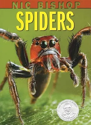 Nic Bishop: Bishop: Pavúky - Nic Bishop: Spiders