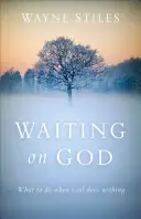 Čakanie na Boha: Čo robiť, keď Boh nič nerobí? - Waiting on God: What to Do When God Does Nothing