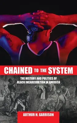 Pripútaný k systému: História a politika uväznenia černochov v Amerike - Chained to the System: The History and Politics of Black Incarceration in America