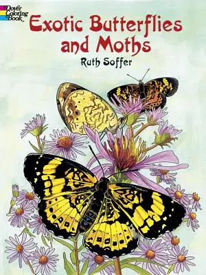 Exotické motýle a mole Omaľovánky - Exotic Butterflies and Moths Coloring Book