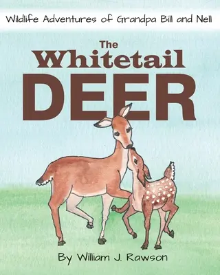 Jeleň bielochvostý - The Whitetail Deer