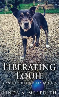Oslobodenie Louieho: Cesta do Rutlandu - Liberating Louie: The Road To Rutland