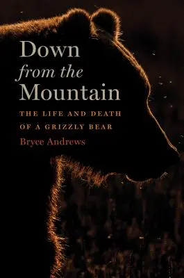 Dolu z hory - Život a smrť medveďa grizlyho - Down from the Mountain - The Life and Death of a Grizzly Bear