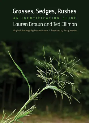 Trávy, sedmokrásky, sitiny: Príručka na určovanie - Grasses, Sedges, Rushes: An Identification Guide