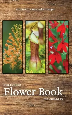 Burgessova kniha o kvetoch s novými farebnými obrázkami - The Burgess Flower Book with new color images