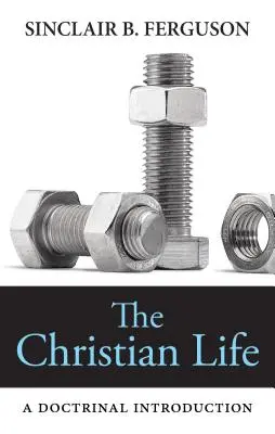 Kresťanský život: Kresťanské dieťa: Doktrinálny úvod - The Christian Life: A Doctrinal Introduction