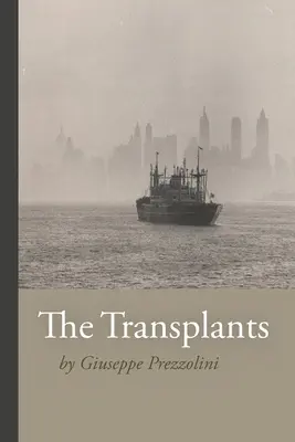 Transplantácie - The Transplants