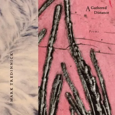 Zhromaždená vzdialenosť: Básne - A Gathered Distance: Poems