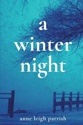 Zimná noc - A Winter Night