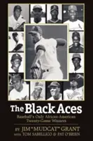Čierne esá: Jediní afroamerickí víťazi dvadsiatich zápasov v bejzbale - The Black Aces: Baseball's Only African-American Twenty-Game Winners