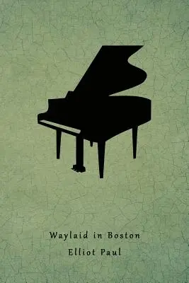 Uviazol v Bostone: (Záhada Homera Evansa) - Waylaid in Boston: (a Homer Evans Mystery)