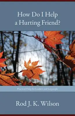 Ako pomôcť ubolenému priateľovi? - How Do I Help a Hurting Friend?