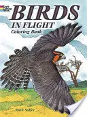 Vtáky v lete Omaľovánky - Birds in Flight Coloring Book