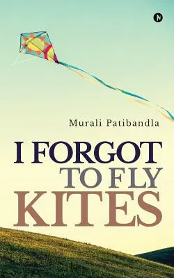 Zabudol som púšťať drakov - I Forgot to Fly Kites