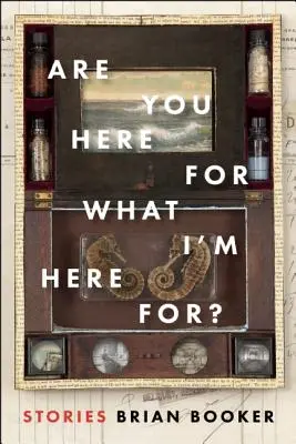 Ste tu pre to, pre čo som tu ja? - Are You Here for What I'm Here For?