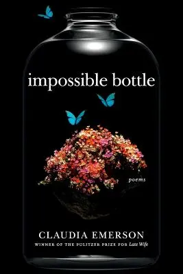 Nemožná fľaša: Básne - Impossible Bottle: Poems