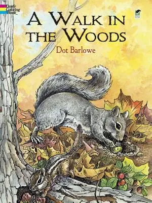 Prechádzka v lese Omaľovánky - A Walk in the Woods Coloring Book