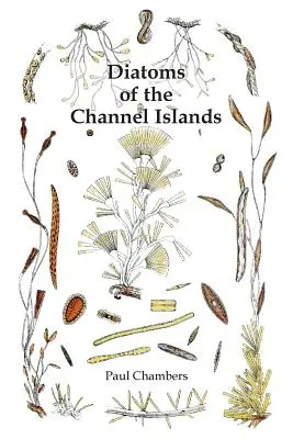 Diatómy Normanských ostrovov - Diatoms of the Channel Islands
